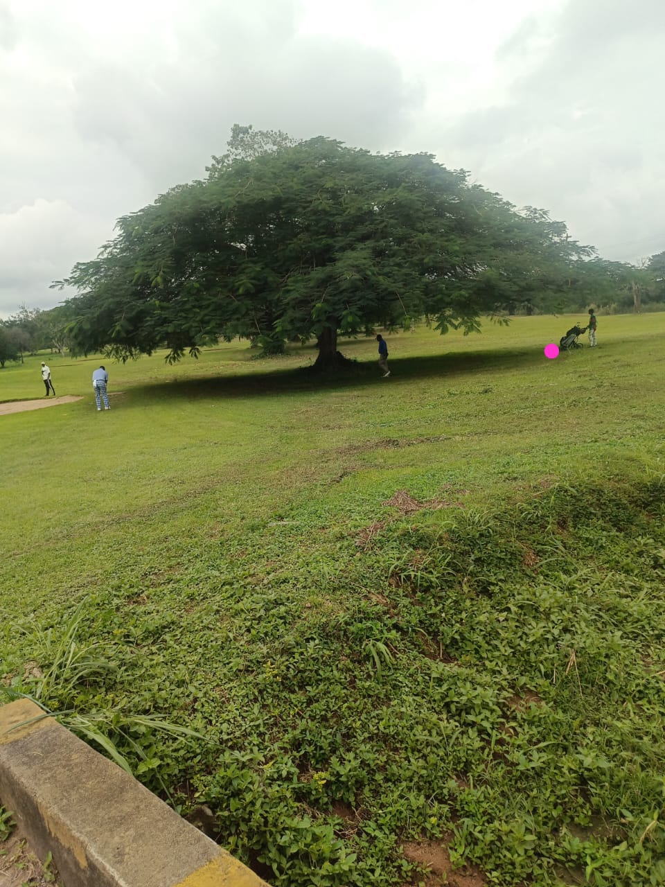 Elephant Cement Golf Club